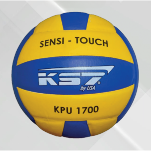Voleibol PV